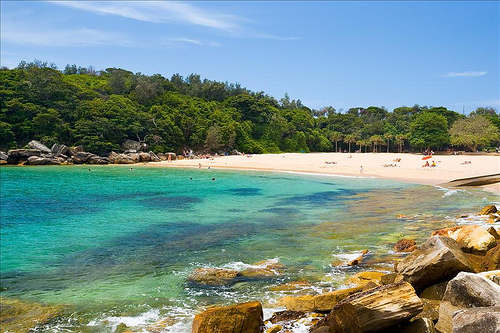 Shelly Beach Diving