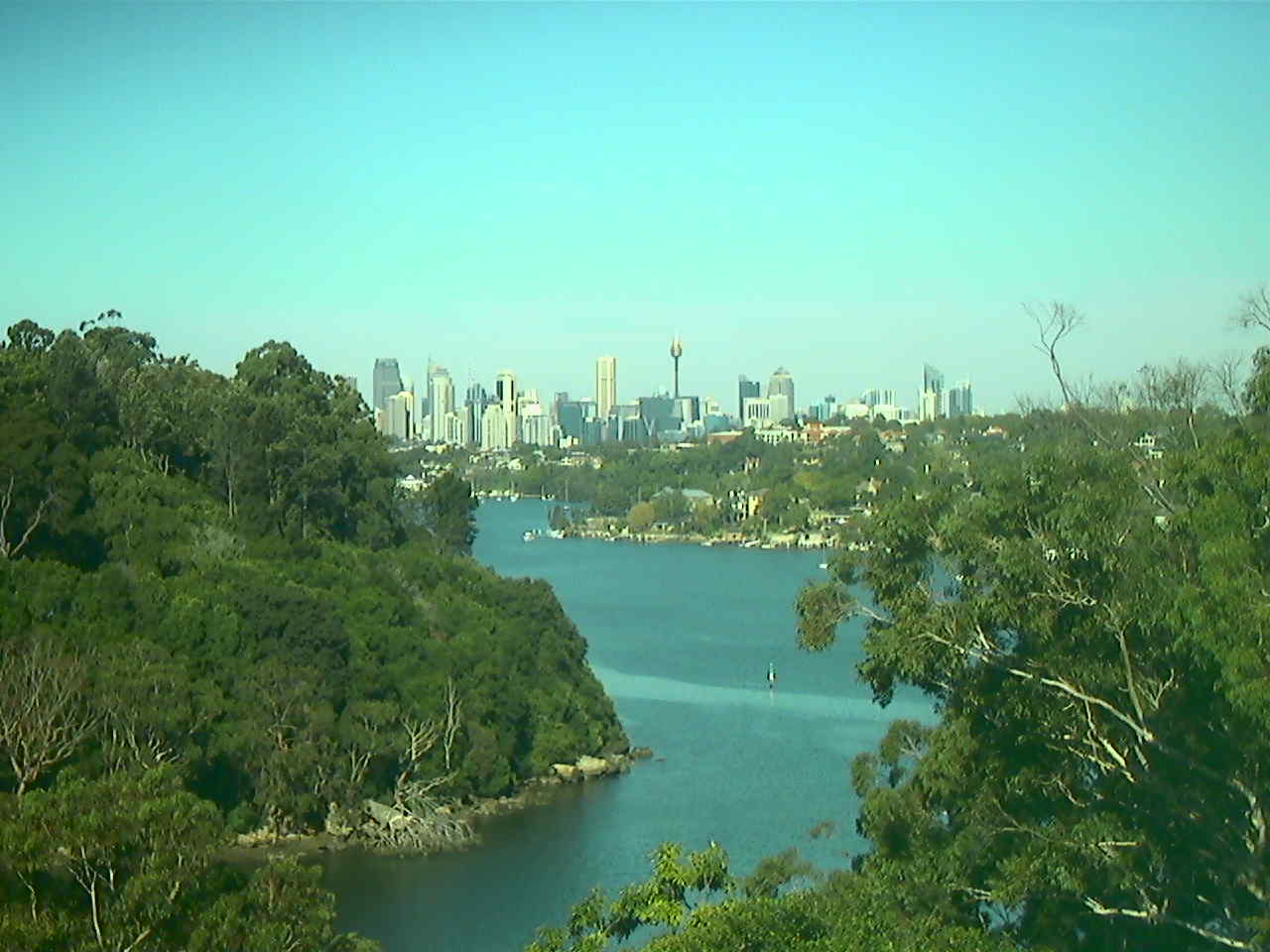 Sydney Skyline on Blue Day